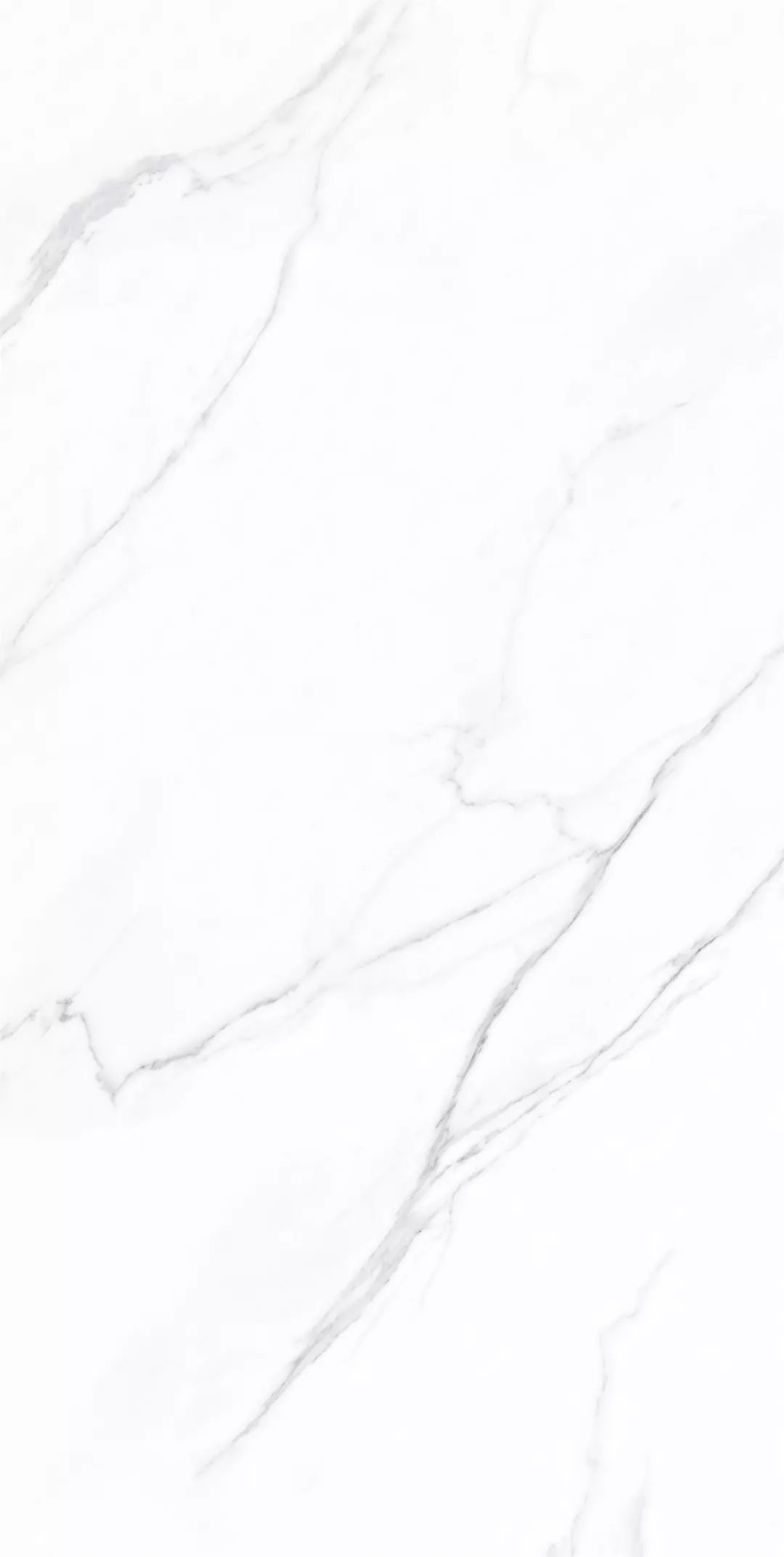 1555311881766237.jpg 3.jpg