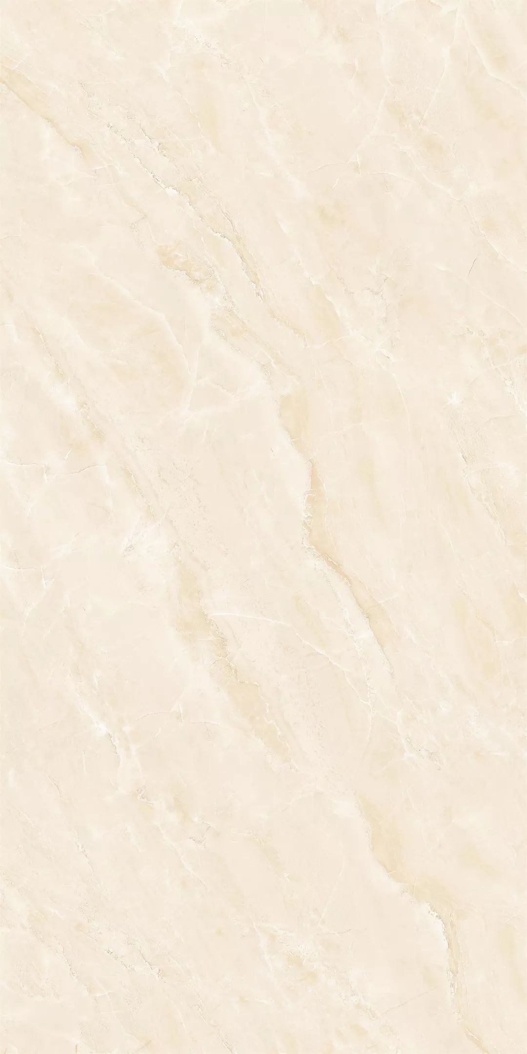 1555311955616369.jpg 7.jpg