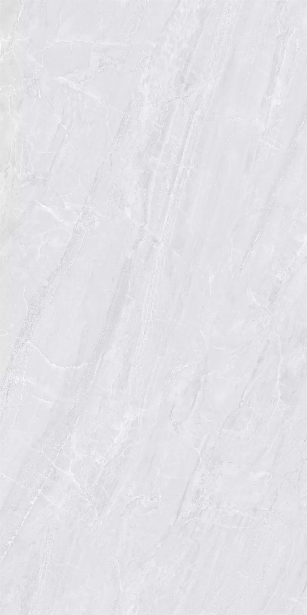 1555312032650795.jpg 10.jpg